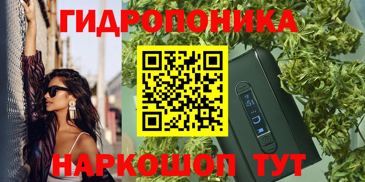 Шишки марихуана сатива Шелехов